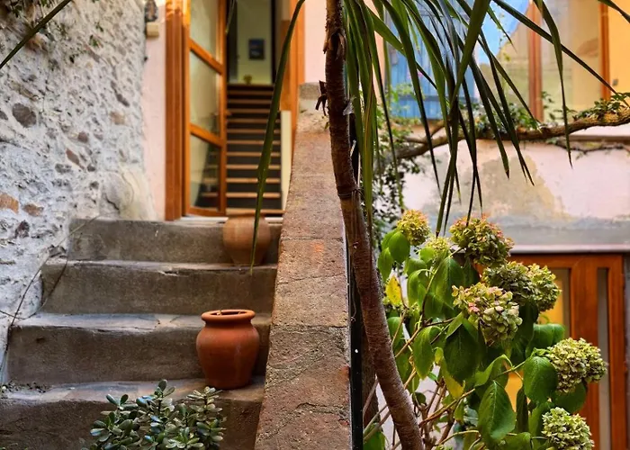 Maison Charme Collioure Centre