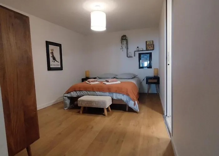 Loft Entierement Renove
